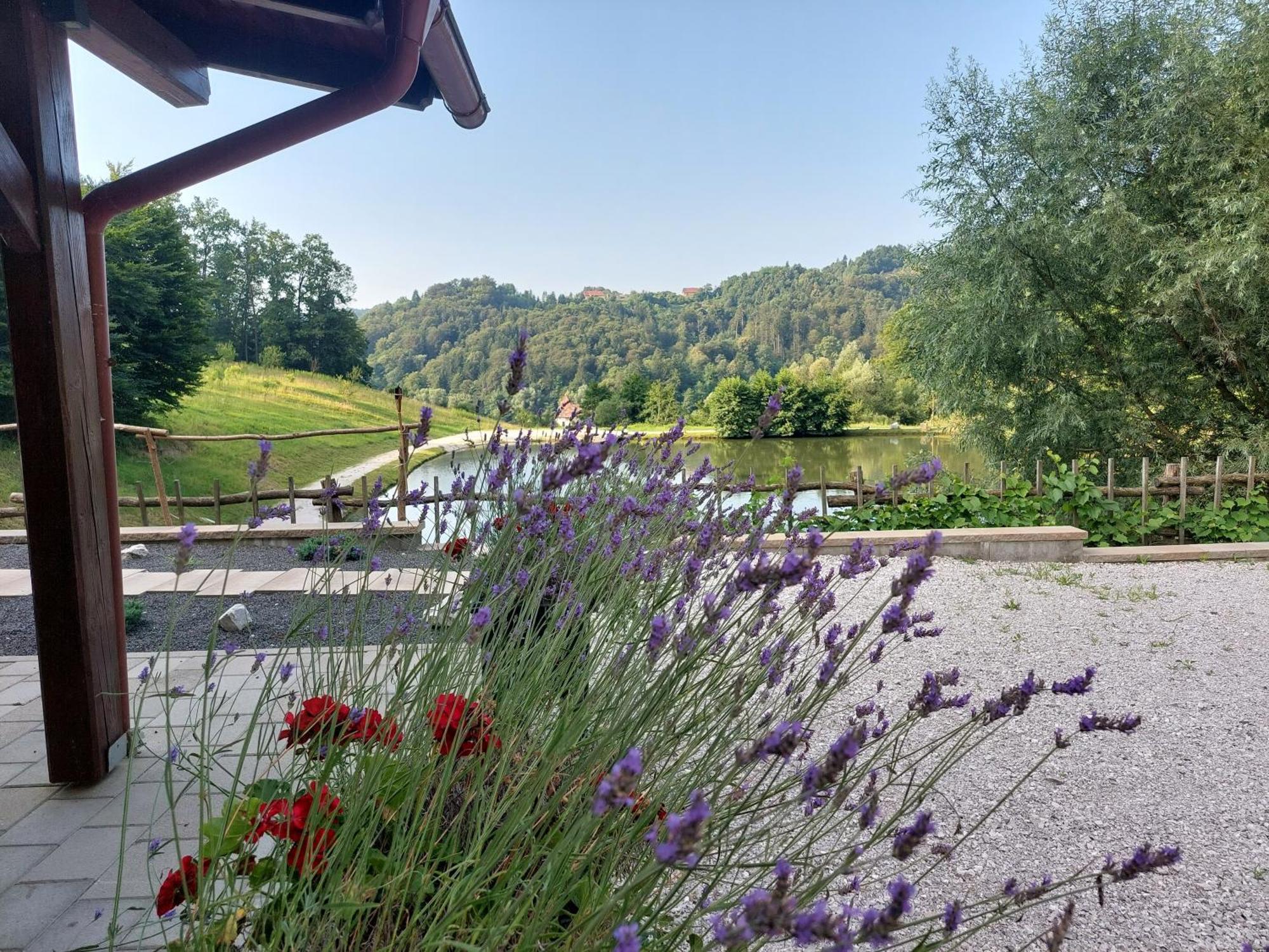 Zelena Oaza Bed & Breakfast Zgornja Kungota Exterior photo